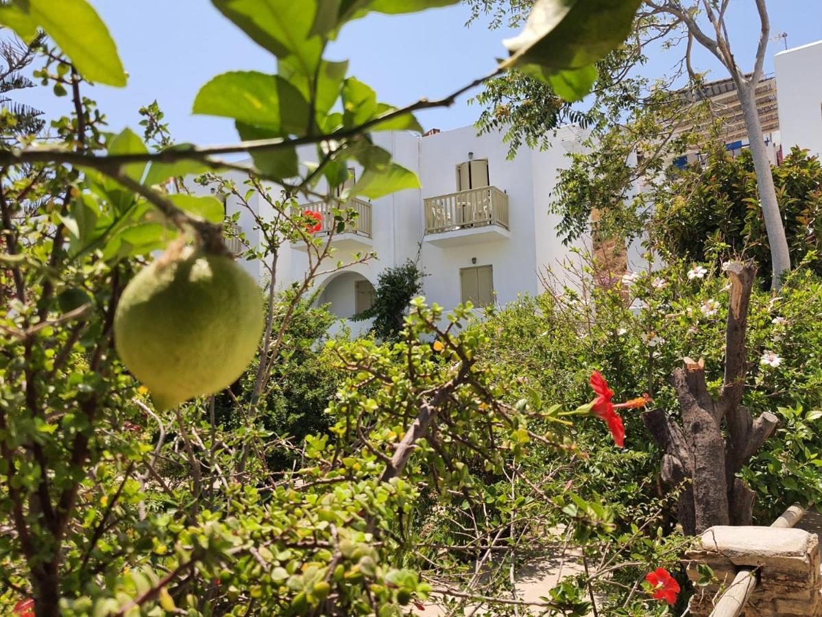 Vidalis Hotel Kionia Bagian luar foto
